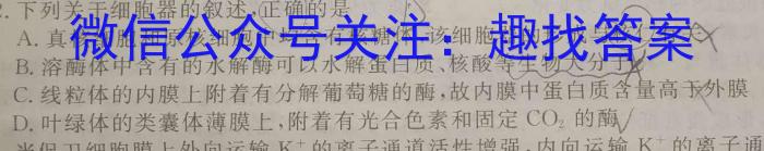 江西省2023-2024学年度八年级下学期期中综合评估英语