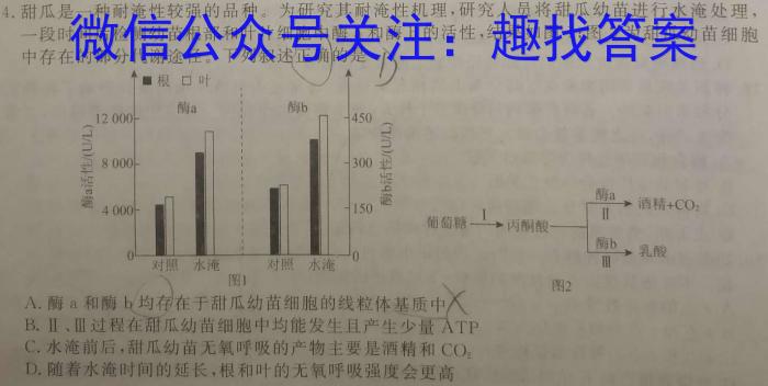 成都石室中学2023-2024学年度上期高2025届期末调研考试生物学试题答案