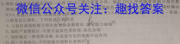 湖北省"腾·云"联盟2023-2024学年高一年级下学期5月联考数学