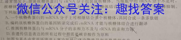 智慧上进 2024年普通高等学校招生全国统一考试仿真模拟试卷(一)1生物学试题答案