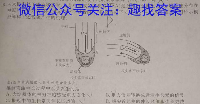 超级全能生·天利38套 2024届新高考冲刺预测卷(三)3生物学试题答案