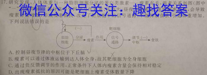 2024届高考模拟卷(八)生物学试题答案