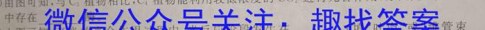 衡水金卷先享题调研卷2024答案(福建专版)四数学