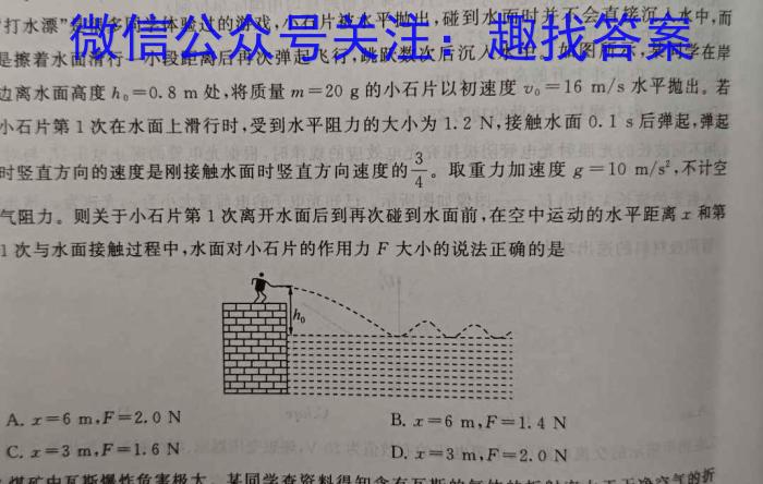 佩佩教育·2024年普通高校统一招生考试 湖南四大名校名师团队猜题卷物理试题答案