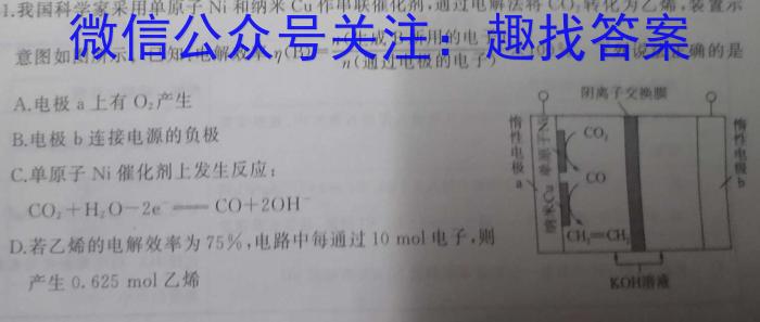 河北省邯郸市2023-2024学年度第二学期八年级期末教学质量检测化学