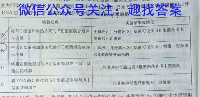 陕西省蒲城县2024年第一次模拟考试（九年级）A数学