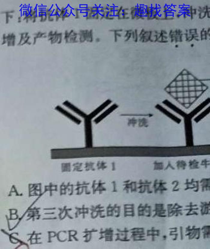 安徽省2024-2025学年太和中学高二年级上学期开学考试(25-T-036B)生物学试题答案