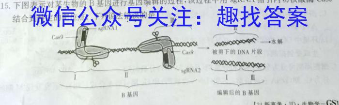 2024年河南省中招第一次模拟考试试卷（4.8）数学