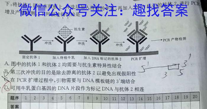 2024普通高等学校招生全国统一考试·名师原创调研仿真模拟卷(二)2生物学试题答案