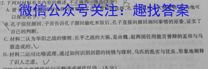 安徽省六安市轻工中学2024年九年级下册第一阶段定时训练/语文