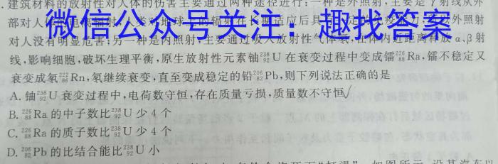 河南省2023-2024学年度九年级综合素养评估（四）物理试卷答案