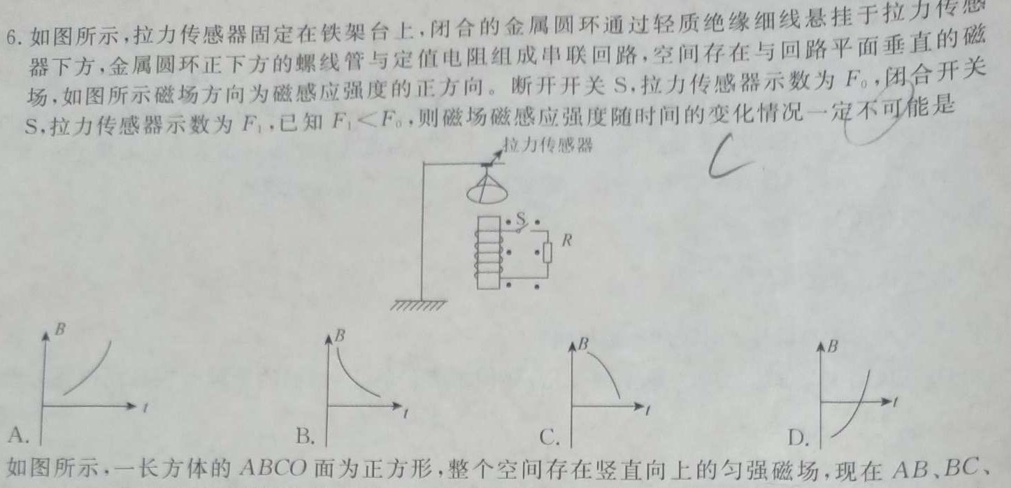 山西省第十五中学2024-2025学年上学期高一入学考试(物理)试卷答案