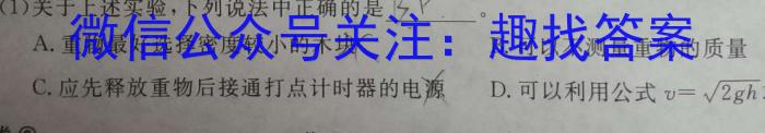 安徽省2024届九年级第二次模拟考试物理`