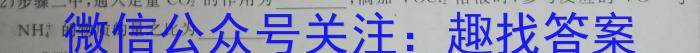 q安徽省名校联考·2023-2024学年度高一年级第一学期期末考试（241514Z）化学