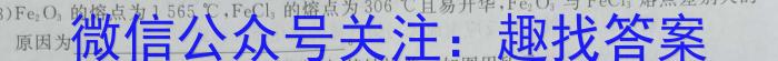 2024年安徽省九年级5月联考数学