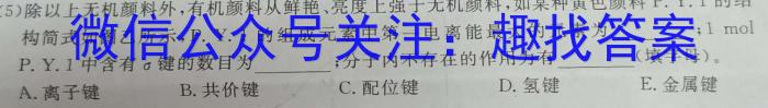 安徽省2024年中考密卷·先享模拟卷(一)1数学