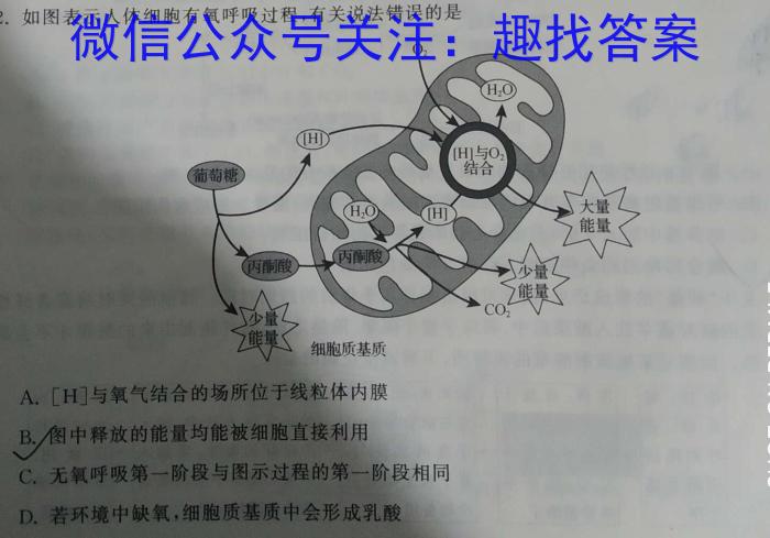 河北省2024年高三4月模拟(三)生物学试题答案