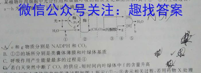 甘肃省武威市2023-2024学年第二学期高二期末质量检测数学