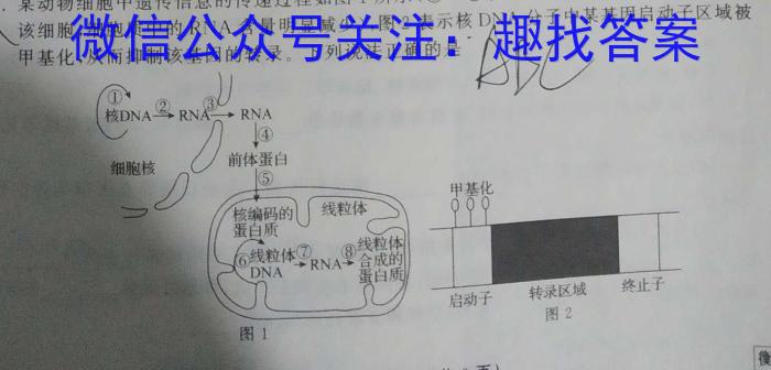 天一大联考