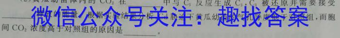 [青岛三模]山东省2024年高三年级第三次适应性检测(2024.05)数学