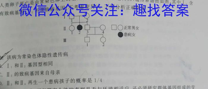 江西省上饶市2024届高三下学期第一次高考模拟考试(4月)数学