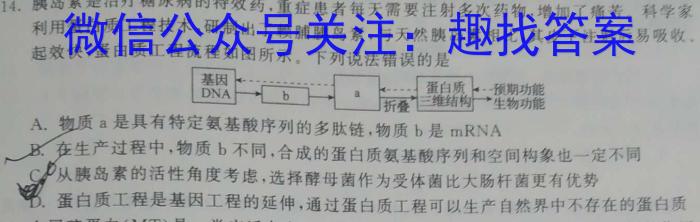 百师联盟 2024届高三冲刺卷(四)4 河北卷生物学试题答案