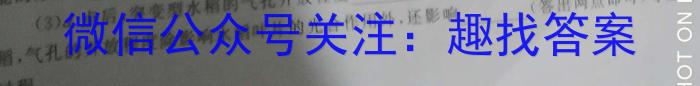 九师联盟·河南省商丘市2023-2024学年高二下学期期中考试（4.27）数学