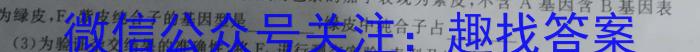 辽宁省名校联盟2024年高二9月份联合考试数学