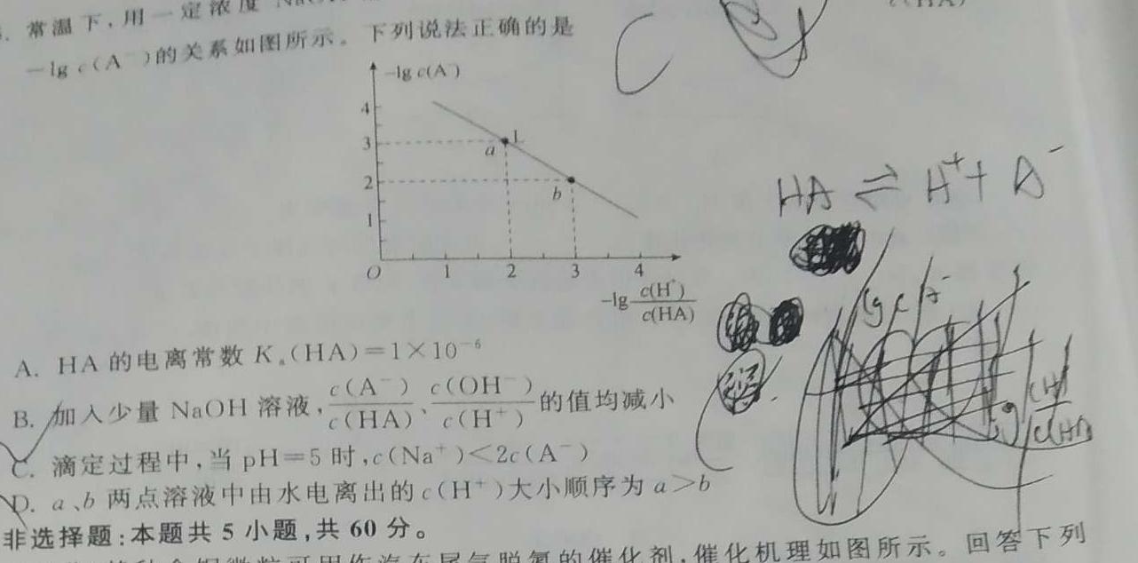 【热荐】2024届新高考单科模拟检测卷(六)6化学