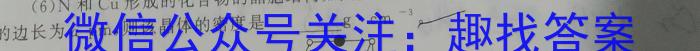 2024年安徽省初中学业水平考试押题卷(五)化学