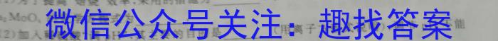 河南省名校联盟2024届高三年级4月模拟考试化学