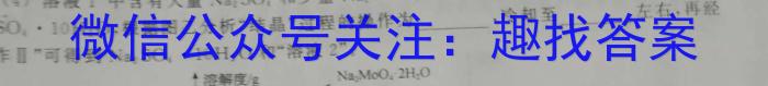 2024年湖北省新高考信息卷(二)数学