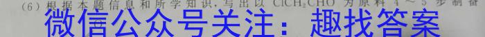 河南省息县2024年全县九年级中招模拟考试（二）数学