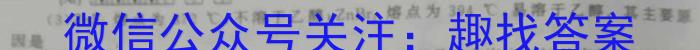 河北省2024年九年级6月模拟(一)数学