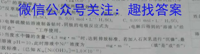 陕西省2024-2025学年度第一学期九年级开学收心检测卷B化学