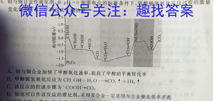 3百师联盟 2024届高三开年摸底联考 新高考卷化学试题