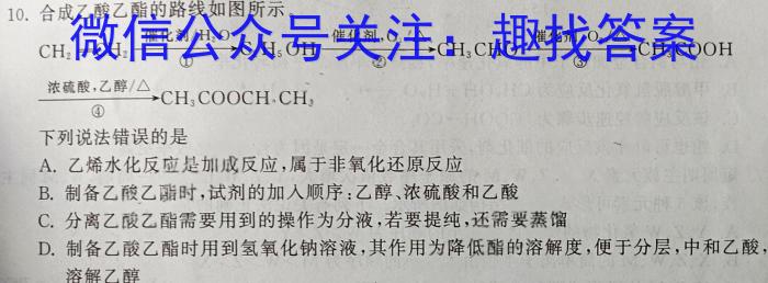 河北省邢台市2023-2024学年高一(上)期末测试(24-223A)化学