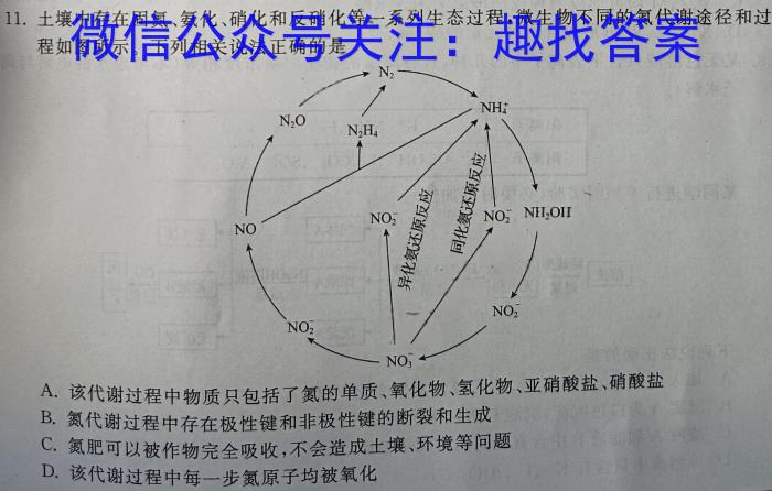 雅礼中学2025届高三上学期入学考试试卷数学