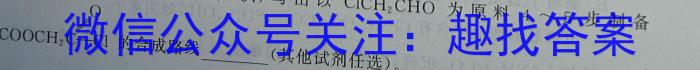 陕西省2023~2024学年度八年级第一学期期末调研试题(卷)数学