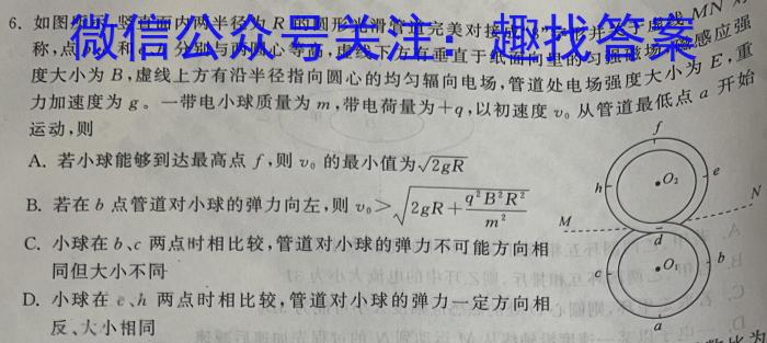 湖南省2024年高考考前仿真联考一物理试卷答案