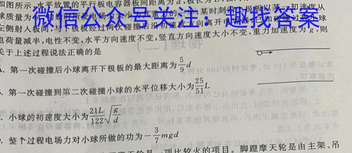 四川省蓉城名校联盟2024届高三第三次模拟考试物理试卷答案