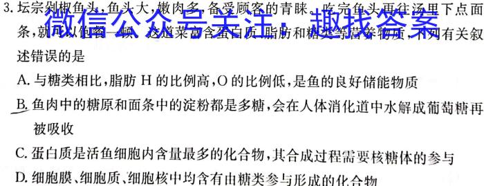 湖南省天壹名校联盟·2024年上学期高二3月大联考数学