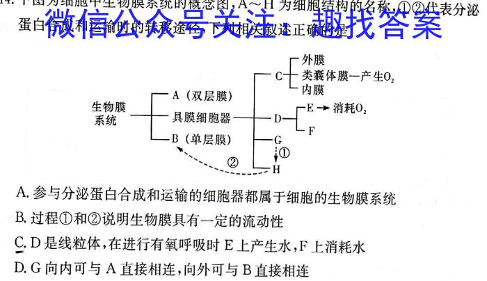 湖南省益阳市2024届高三十校联考第一次模拟考试生物学试题答案