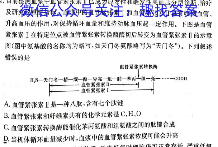 百师联盟·河北省2023-2024学年度高二期末联考数学