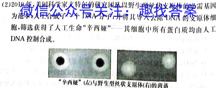 百师联盟2023-2024学年度高一6月联考生物学试题答案