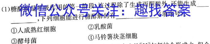 重庆市2023-2024学年(下)高一年级3月月度质量检测英语