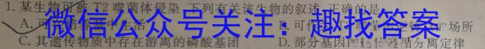 安徽省2024年春学期毕业班第一次调研考数学