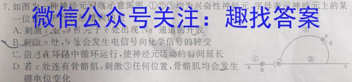 ［四川大联考］四川省2023-2024学年第二学期高二年级4月联考数学