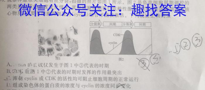 湖南省2024届高三2月入学统一考试试题(♠)生物学试题答案