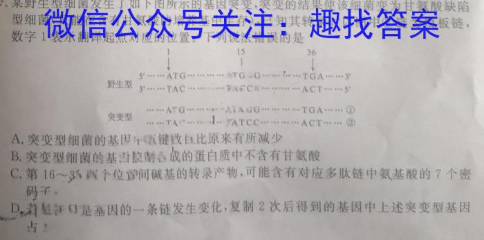 江西省2024年初中学业水平模拟考试（WS·J区专用II4）数学h